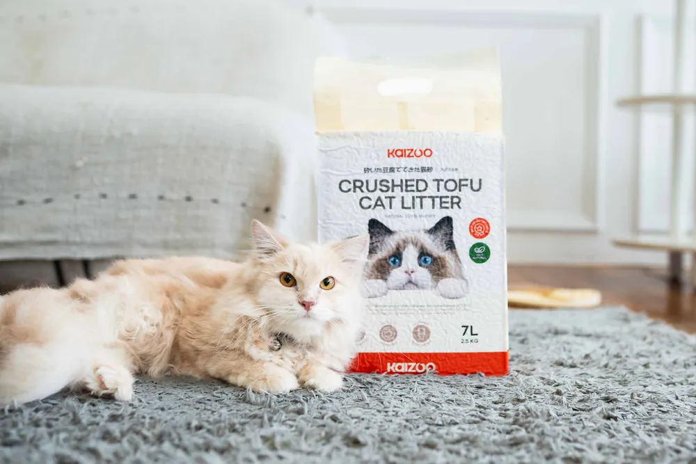 Kucing berbaring di samping Kaizoo Crushed Tofu Cat Litter
