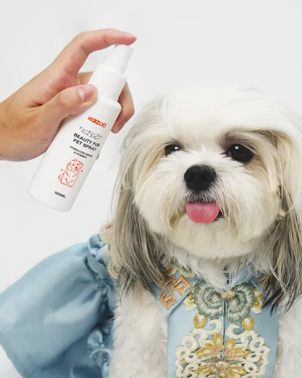 Shih tzu disemprot Kaizoo Beauty Fur Pet Spray