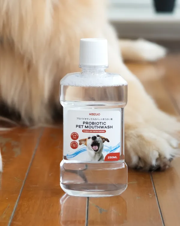 Kaizoo Probiotic Pet Mouthwash di depan golden retriever