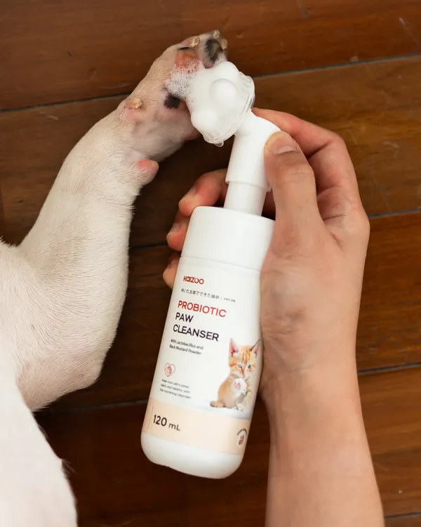 Busa Kaizoo Probiotic Paw Cleanser di kaki french bulldog