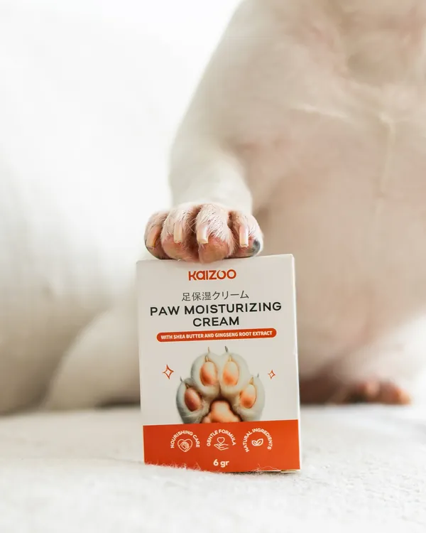 Kaki french bulldog di atas kotak Kaizoo Paw Moisturizing Cream