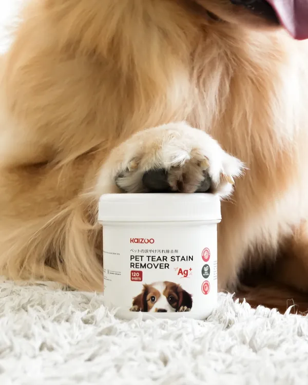 Kaki golden retriever di atas Kaizoo Pet Tear Stain Remover