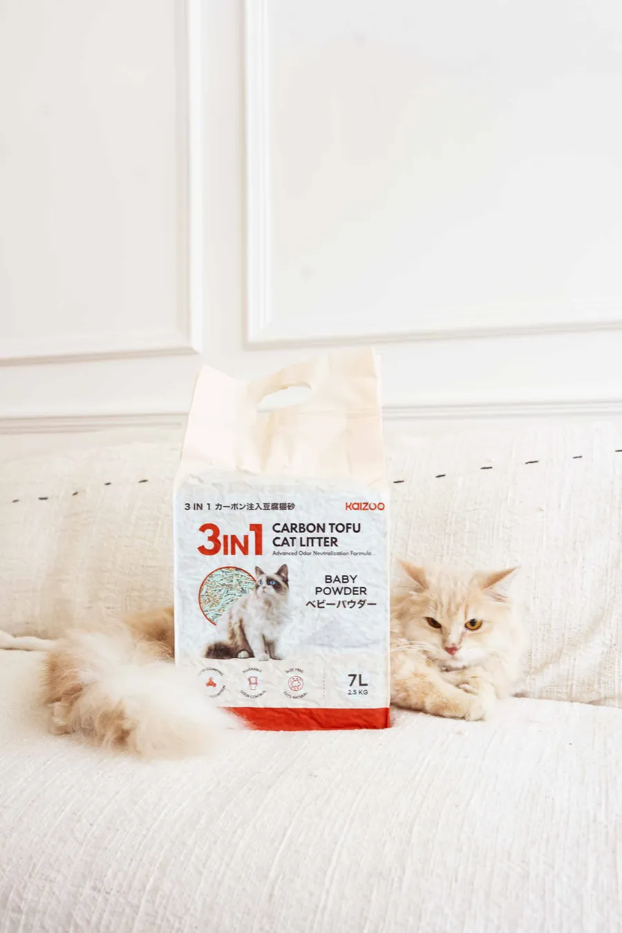 Kucing bersantai di samping Kaizoo 3in1 Carbon Tofu Cat Litter